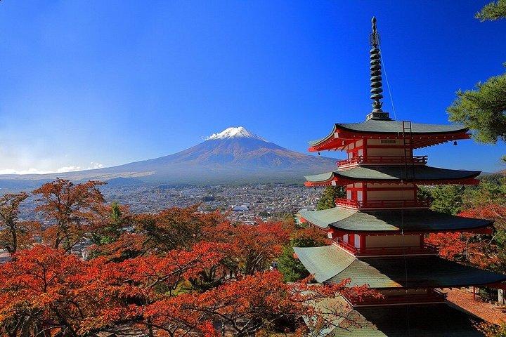 ダイヤモンド富士サンセットクルーズと富士山絶景ハイライト