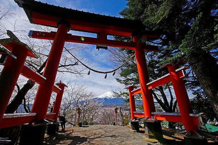 ダイヤモンド富士サンセットクルーズと富士山絶景ハイライト