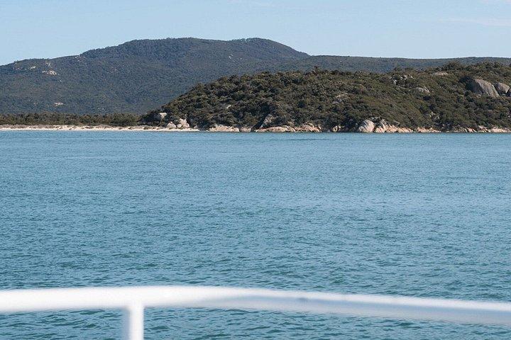 Melbourne: 6-hour Wilsons Prom Whale Watching
