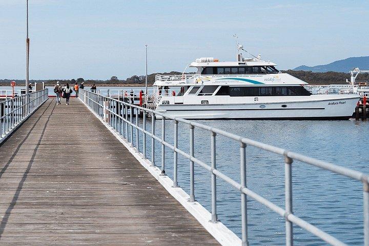 Melbourne: 6-hour Wilsons Prom Whale Watching