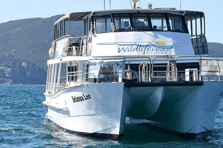Melbourne: 6-hour Wilsons Prom Whale Watching
