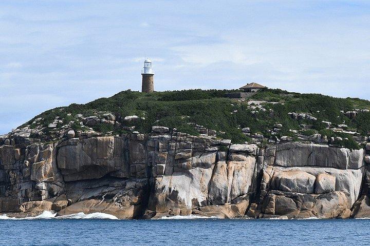 Melbourne: 6-hour Wilsons Prom Whale Watching
