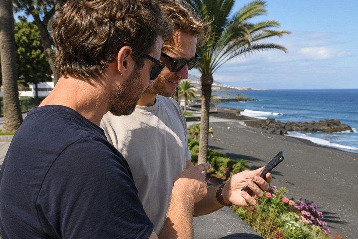 プエルト・デ・ラ・クルス・セルフガイド探偵殺人ミステリーゲーム