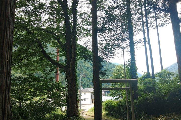 新宿から奥多摩・田場山へ隠れた田舎日本日帰り旅行