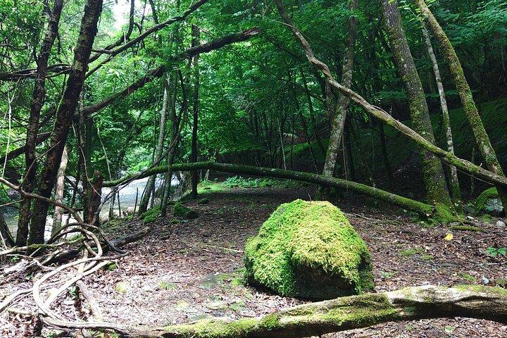 新宿から奥多摩・田場山へ隠れた田舎日本日帰り旅行