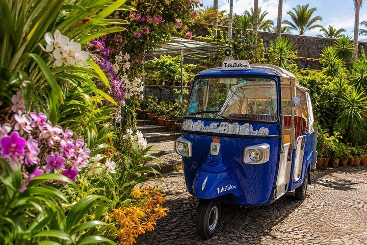 Funchal Old Town Pinaculo and Orchid Garden Tuk Tuk PrivateTour