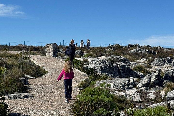 Table Mountain Self Arrival Tour with Pre Booked Cableway Ticket