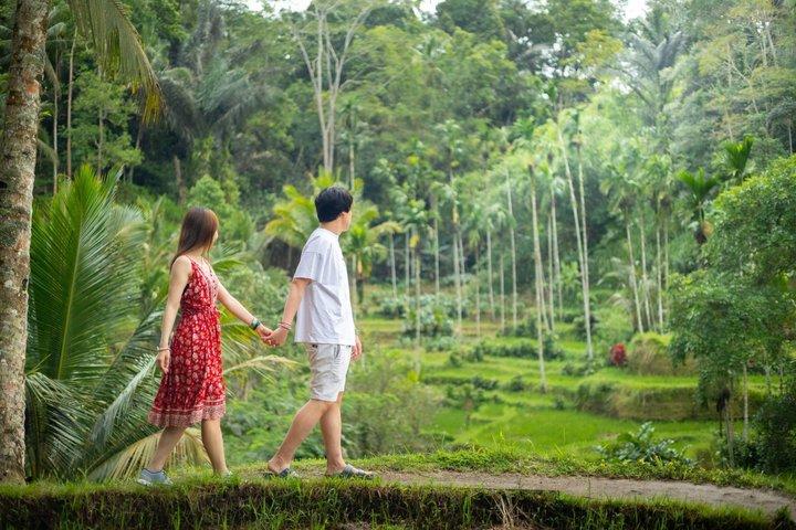 Tour privato a Bali Ubud con Monkey Forest e terrazza di riso