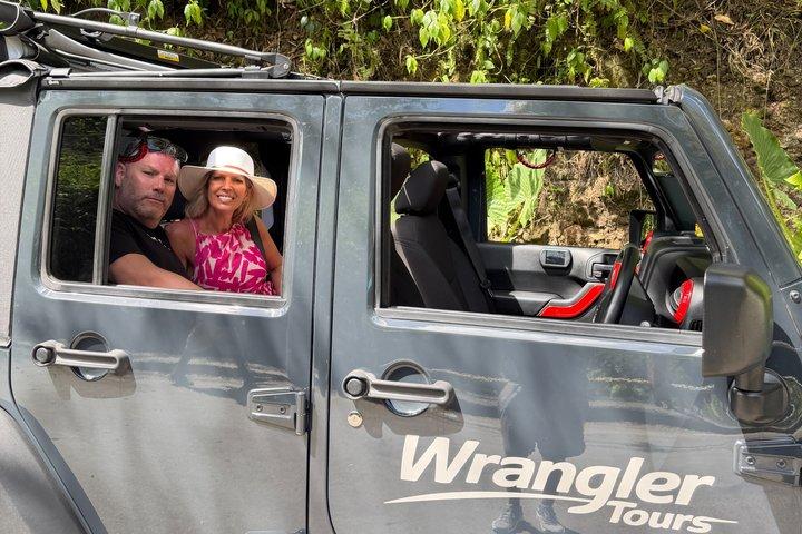 Half Day Private Tour in St. Lucia Jeep Wrangler
