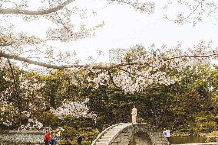 豪華車両で巡る広島・宮島プライベートツアー