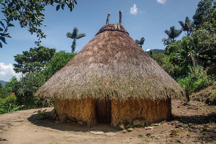 3日間で巡るロストシティ:自然、冒険、そして先住民文化