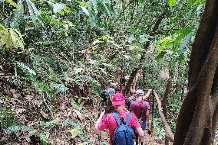 Embera Indigenous community (private min. 2 pax) includes adm fee