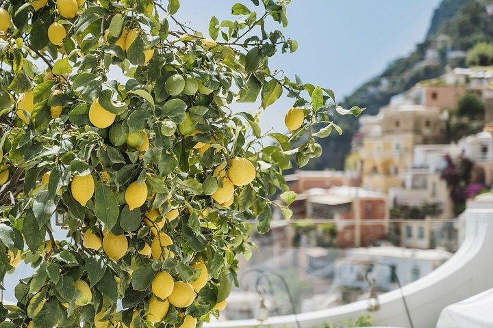 Sorrento Self Guided Sightseeing Exploration Game with Audio