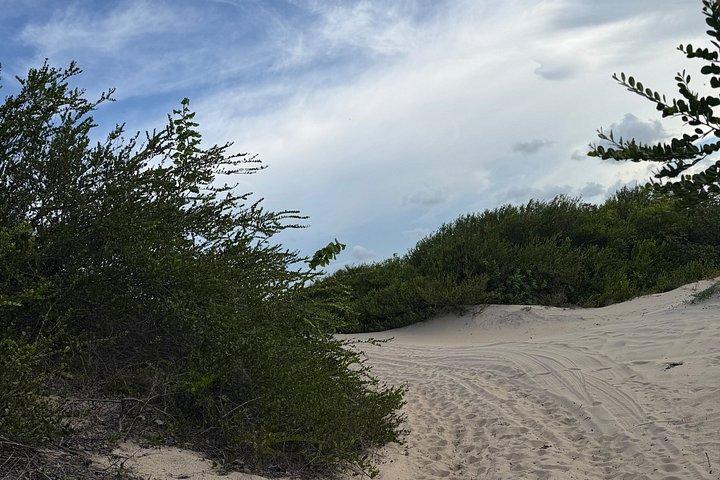 Private 4x4 Dune & Beach Adventure from Fortaleza