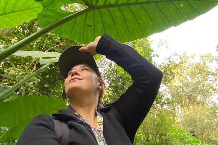 Bathing in the Forest Trail in Foz do Iguaçu
