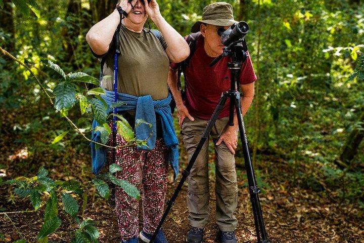 Monteverde Rescued Wildlife Sanctuary Tour