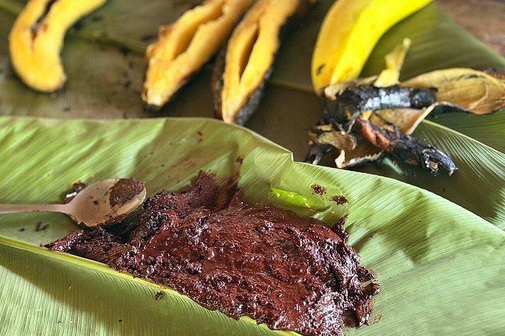 Tour Shaman medicinal plants and waterfalls