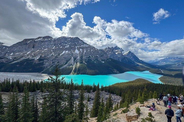 Banff, Jasper Parks, Icefields, Bow, Peyto søer, små grupper