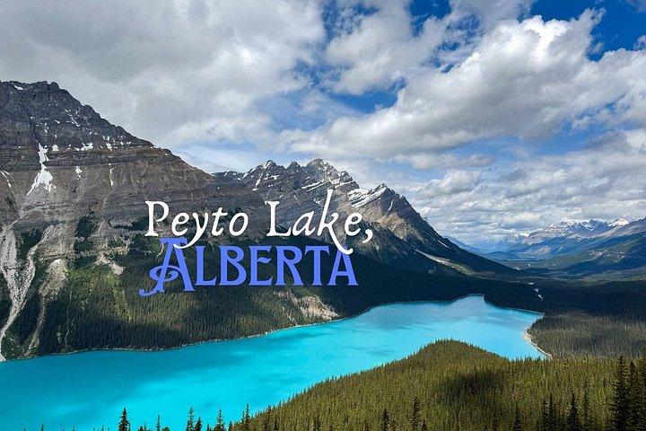 Banff, Jasper Parks, Icefields, Bow, Peyto lakes, small groups
