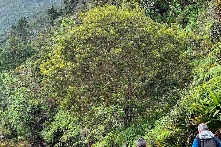 Trekking Cerro Kennedy 2 days
