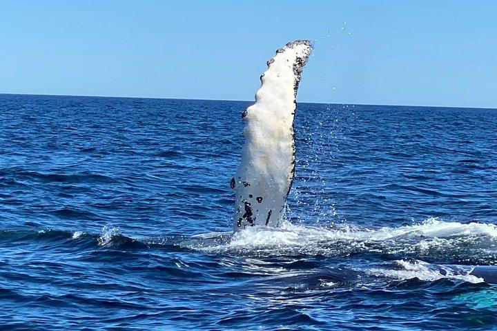 カナダ東部と海洋州を巡る7日間ツアー