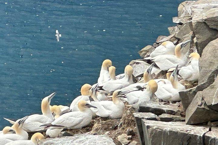 カナダ東部と海洋州を巡る7日間ツアー