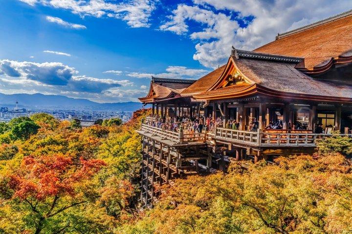 Best of Kyoto and Nara Highlights Day Tour from Osaka (7~9 spots)
