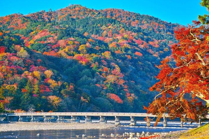 Best of Kyoto and Nara Highlights Day Tour from Osaka (7~9 spots)