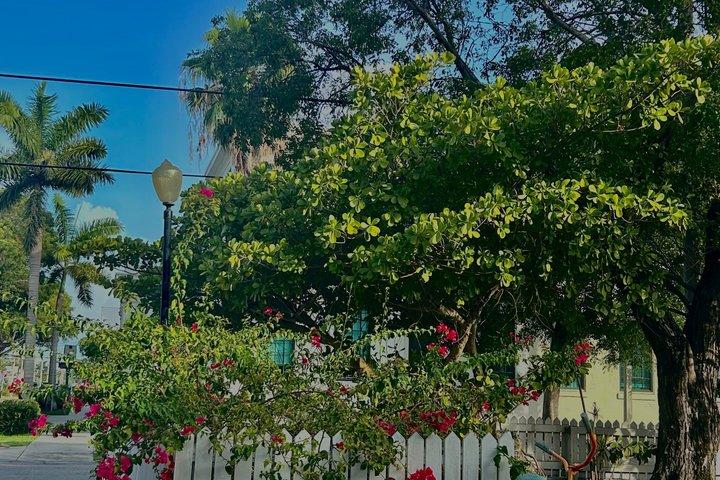 Tour storico in bicicletta di Key West