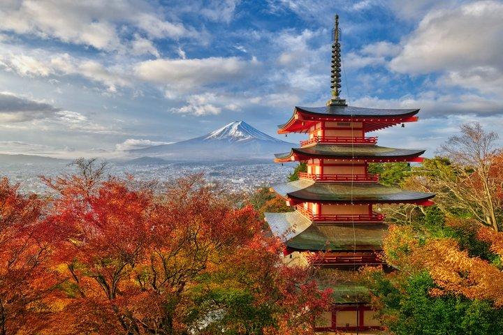 Mt. Fuji Highlight Photo Spots One Day Tour from Tokyo