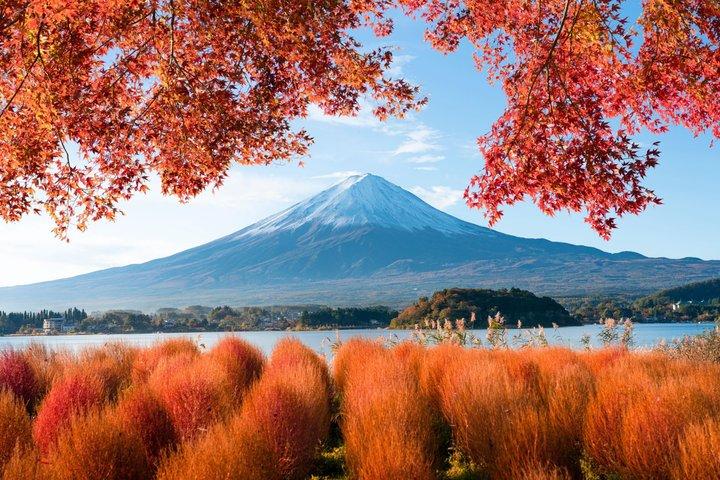 Mt. Fuji Highlight Photo Spots One Day Tour from Tokyo