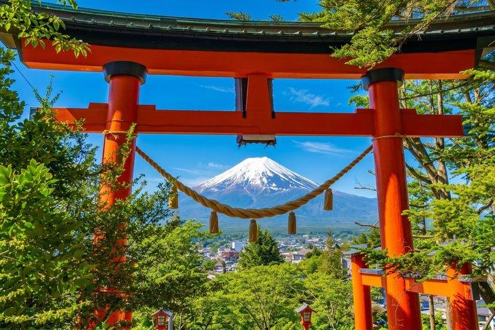 Mt. Fuji Highlight Photo Spots One Day Tour from Tokyo