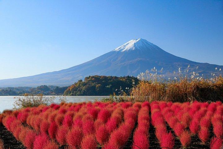 東京からの富士山、公園、景勝地の日帰り観光
