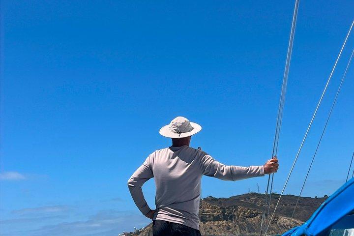 サンディエゴ・セーリング 4時間野生動物アドベンチャー 参加アクティビティ