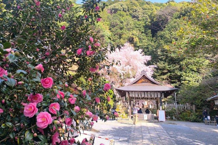 ホテル送迎付きの京都プライベートカスタムツアーとガイド