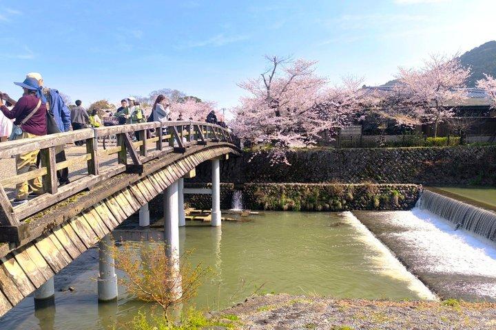 ホテル送迎付きの京都プライベートカスタムツアーとガイド