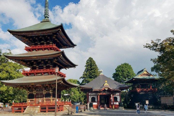 7 Hour Private Narita Heritage and Airport Town Tour