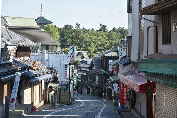 7時間プライベート成田の歴史と空港タウンツアー