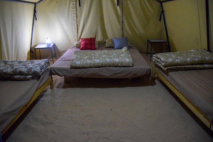 Douz Camel Trek to Sahara Camp Overnight