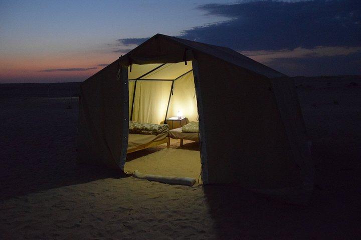 Douz Camel Trek to Sahara Camp Overnight