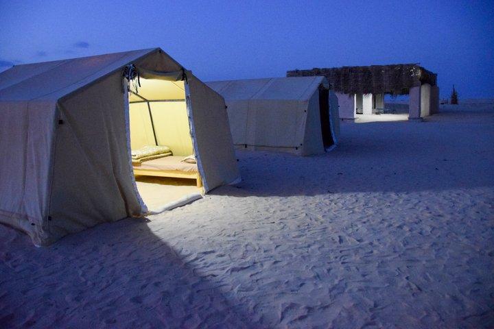 Douz Camel Trek to Sahara Camp Overnight