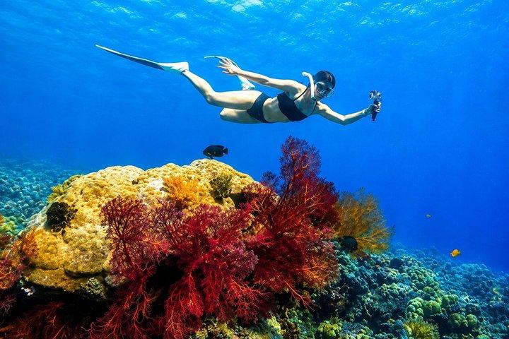 Bali Amed 4 Snorkeling : Turtle Point e Tempio Sottomarino