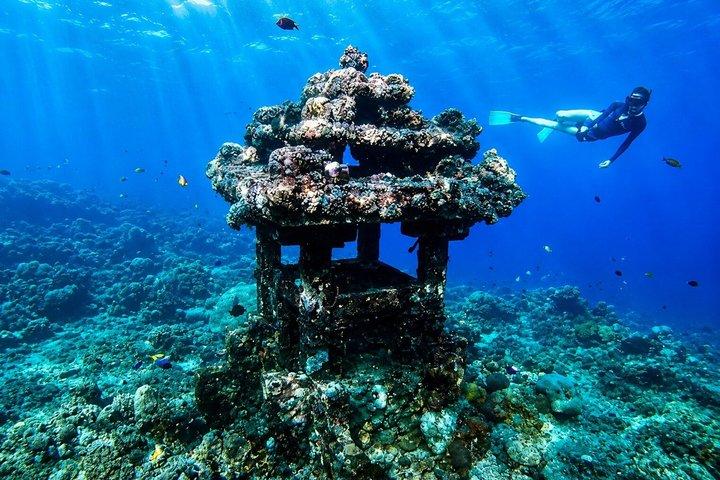 Bali Amed 4 Snorkeling : Turtle Point e Tempio Sottomarino
