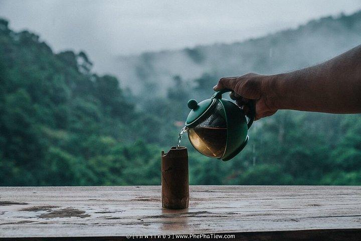 チェンマイバーンメー茶狩りとジャングル滝トレッキング