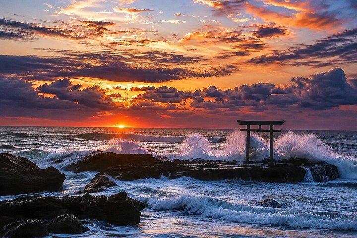 東京日立海浜公園＆茨城海岸プライベートツアー