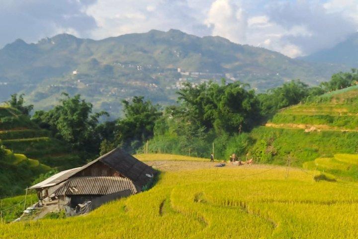 Sapa Local Trekking : Terrazas de arroz y pueblos indígenas minoritarios