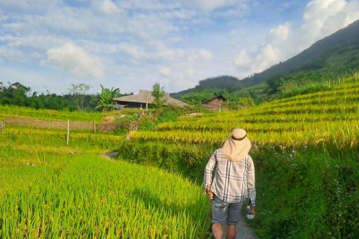 Sapa Local Trekking : Terrazas de arroz y pueblos indígenas minoritarios