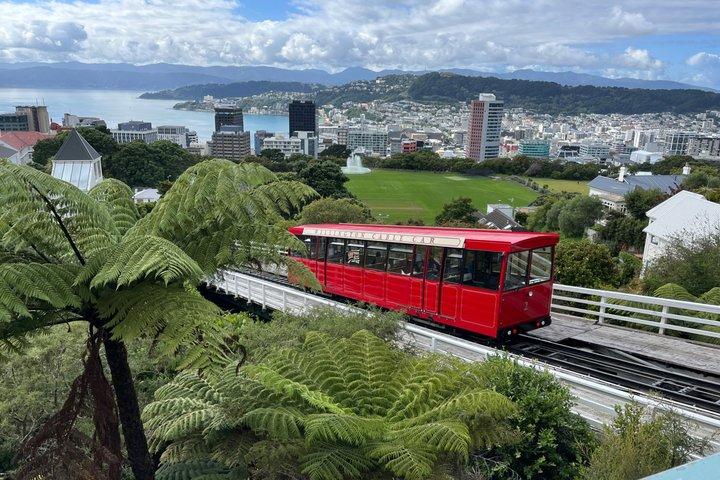 Welcome to Wellington: 3 Hr Private Luxury City & Scenic Bay Tour