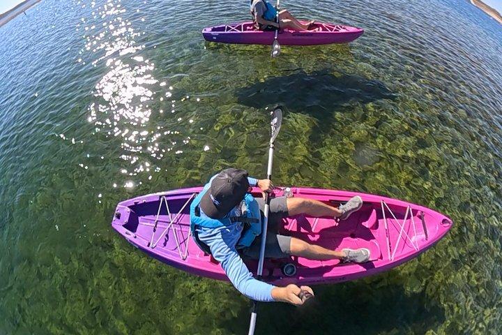 Shoreline Single Kayak Rentals at Lake Pleasant