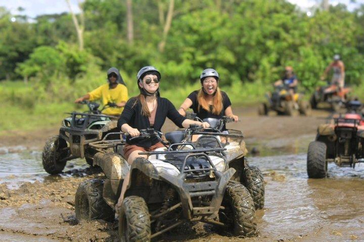 Exclusieve Bohol, Filippijnen Chocolate Hills-Tarsier Tour
